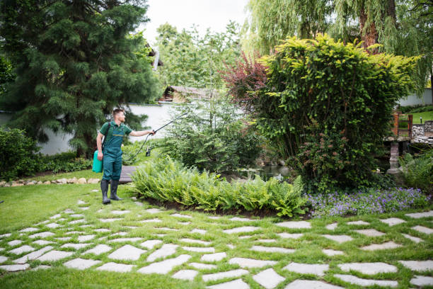 Best Affordable Pest Control Services  in Clarksburg, MD