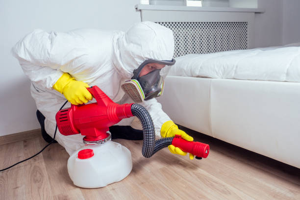 Best Flea Control Services  in Clarksburg, MD