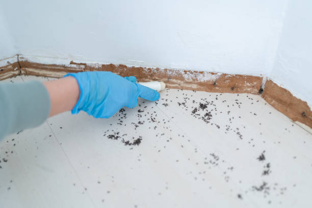 Best Wildlife Control Services  in Clarksburg, MD