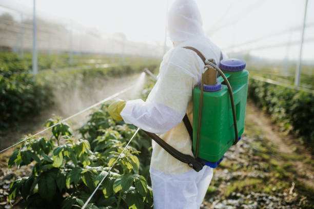 Best Commercial Pest Control Services  in Clarksburg, MD